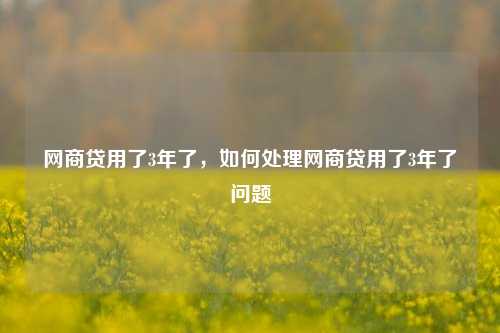 网商贷用了3年了，如何处理网商贷用了3年了问题