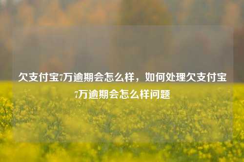 欠支付宝7万逾期会怎么样，如何处理欠支付宝7万逾期会怎么样问题