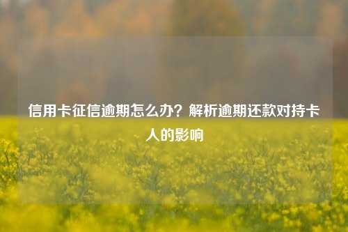 信用卡征信逾期怎么办？解析逾期还款对持卡人的影响