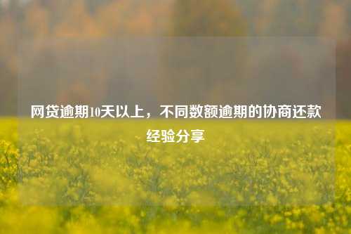 网贷逾期10天以上，不同数额逾期的协商还款经验分享