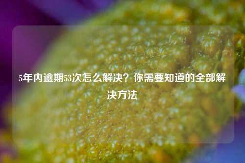 5年内逾期53次怎么解决？你需要知道的全部解决方法