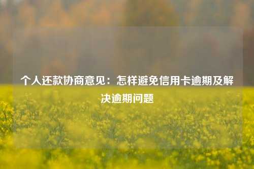 个人还款协商意见：怎样避免信用卡逾期及解决逾期问题