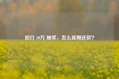 招行 20万 抽奖，怎么延期还款？