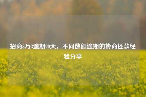 招商5万3逾期90天，不同数额逾期的协商还款经验分享