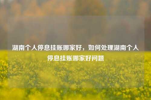 湖南个人停息挂账哪家好，如何处理湖南个人停息挂账哪家好问题