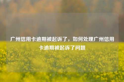 广州信用卡逾期被起诉了，如何处理广州信用卡逾期被起诉了问题