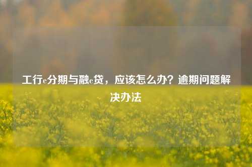 工行e分期与融e贷，应该怎么办？逾期问题解决办法