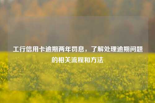 工行信用卡逾期两年罚息，了解处理逾期问题的相关流程和方法