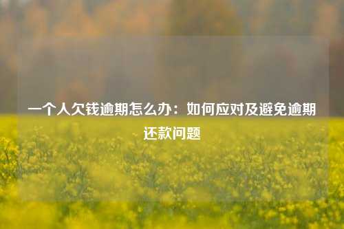 一个人欠钱逾期怎么办：如何应对及避免逾期还款问题