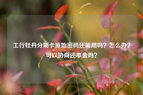 工行牡丹分期卡原始密码还能用吗？怎么办？可以协商还本金吗？