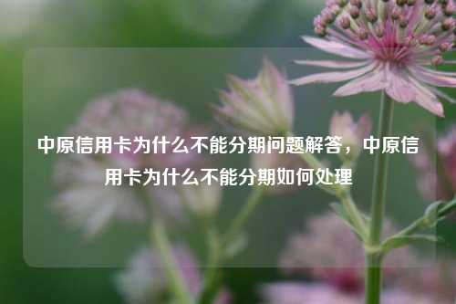 中原信用卡为什么不能分期问题解答，中原信用卡为什么不能分期如何处理