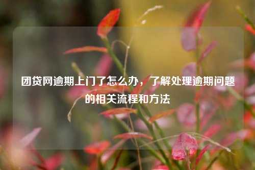 团贷网逾期上门了怎么办，了解处理逾期问题的相关流程和方法