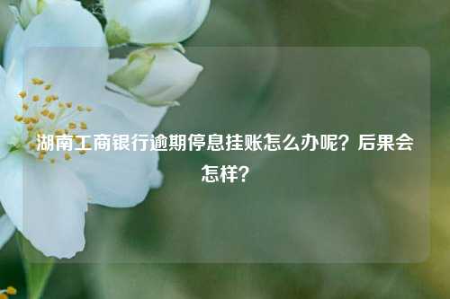 湖南工商银行逾期停息挂账怎么办呢？后果会怎样？