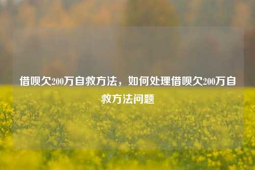 借呗欠200万自救方法，如何处理借呗欠200万自救方法问题