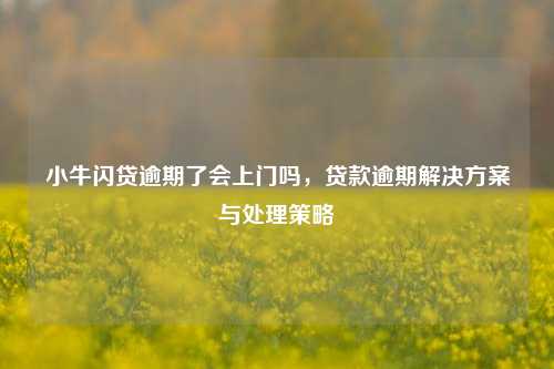 小牛闪贷逾期了会上门吗，贷款逾期解决方案与处理策略