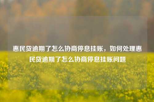 惠民贷逾期了怎么协商停息挂账，如何处理惠民贷逾期了怎么协商停息挂账问题