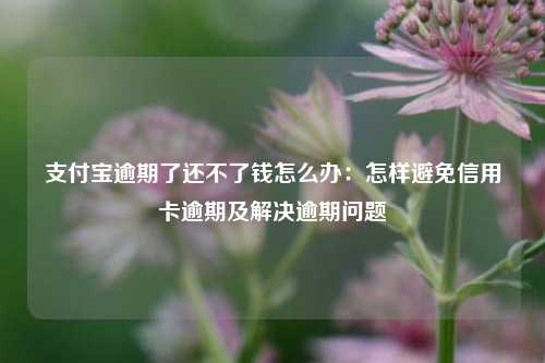 支付宝逾期了还不了钱怎么办：怎样避免信用卡逾期及解决逾期问题