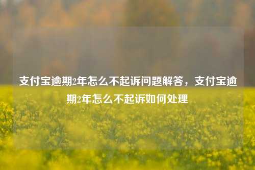 支付宝逾期2年怎么不起诉问题解答，支付宝逾期2年怎么不起诉如何处理