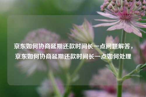 京东如何协商延期还款时间长一点问题解答，京东如何协商延期还款时间长一点如何处理