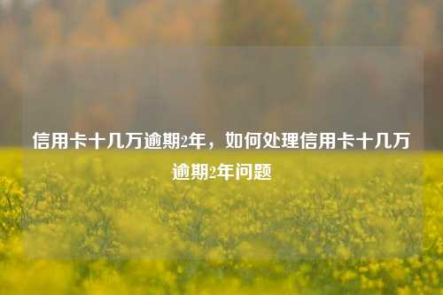 信用卡十几万逾期2年，如何处理信用卡十几万逾期2年问题