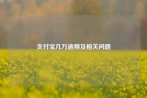 支付宝几万逾期及相关问题