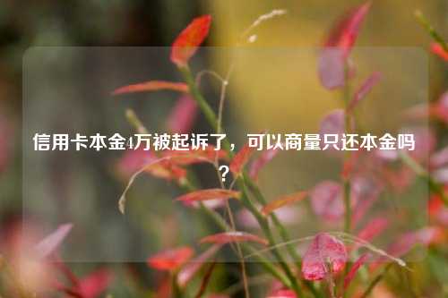 信用卡本金4万被起诉了，可以商量只还本金吗？