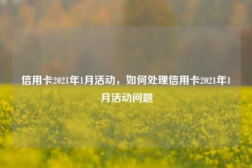 信用卡2021年1月活动，如何处理信用卡2021年1月活动问题