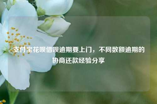 支付宝花呗借呗逾期要上门，不同数额逾期的协商还款经验分享