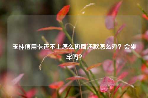 玉林信用卡还不上怎么协商还款怎么办？会坐牢吗？