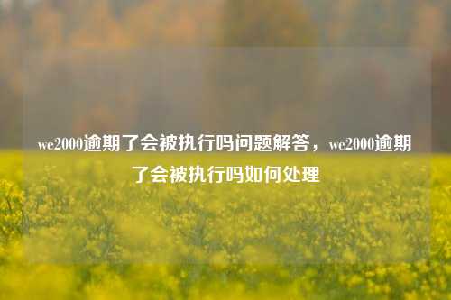 we2000逾期了会被执行吗问题解答，we2000逾期了会被执行吗如何处理