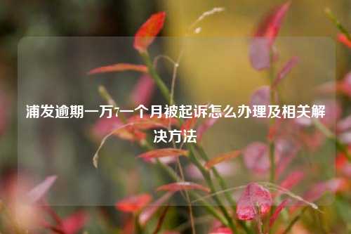 浦发逾期一万7一个月被起诉怎么办理及相关解决方法