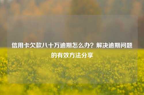 信用卡欠款八十万逾期怎么办？解决逾期问题的有效方法分享