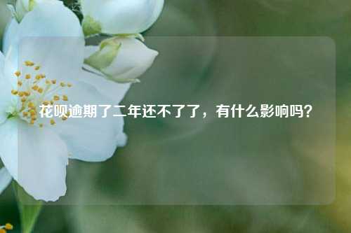 花呗逾期了二年还不了了，有什么影响吗？