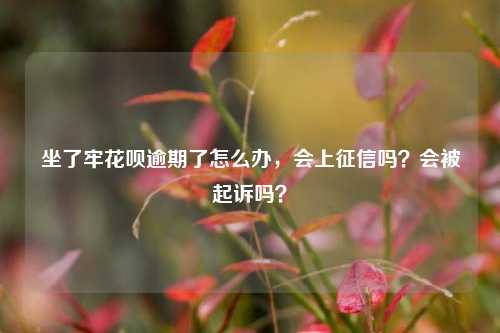 坐了牢花呗逾期了怎么办，会上征信吗？会被起诉吗？