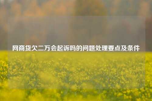 网商贷欠二万会起诉吗的问题处理要点及条件