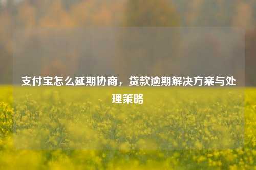 支付宝怎么延期协商，贷款逾期解决方案与处理策略