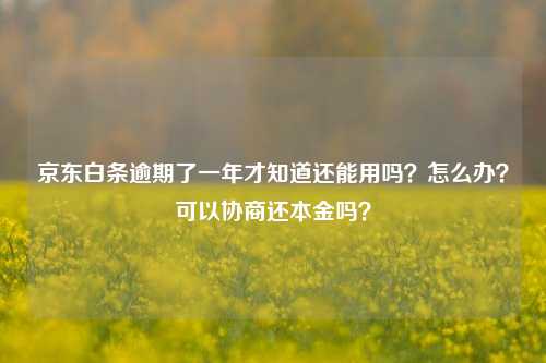 京东白条逾期了一年才知道还能用吗？怎么办？可以协商还本金吗？