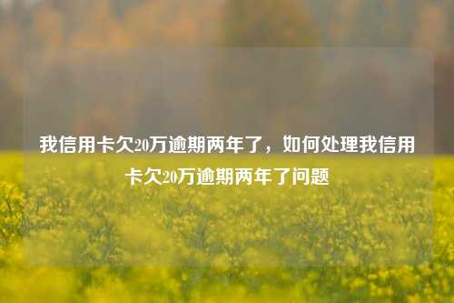 我信用卡欠20万逾期两年了，如何处理我信用卡欠20万逾期两年了问题