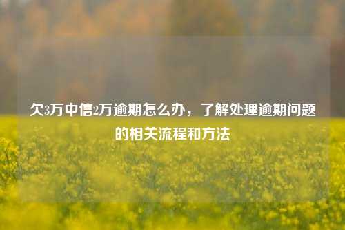 欠3万中信2万逾期怎么办，了解处理逾期问题的相关流程和方法