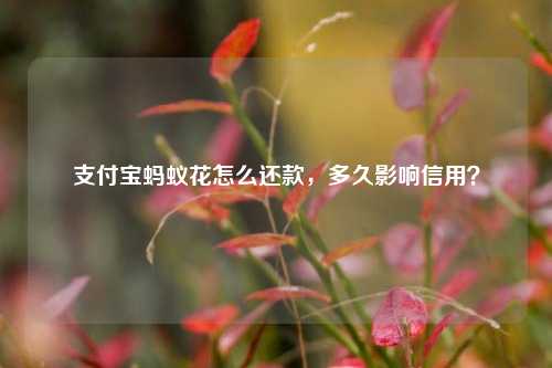 支付宝蚂蚁花怎么还款，多久影响信用？