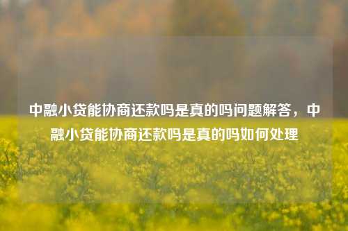 中融小贷能协商还款吗是真的吗问题解答，中融小贷能协商还款吗是真的吗如何处理