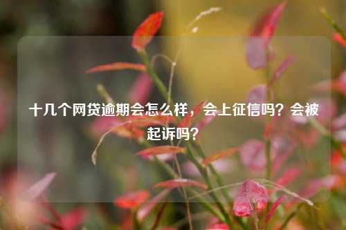 十几个网贷逾期会怎么样，会上征信吗？会被起诉吗？