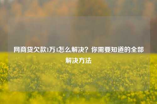 网商贷欠款1万4怎么解决？你需要知道的全部解决方法