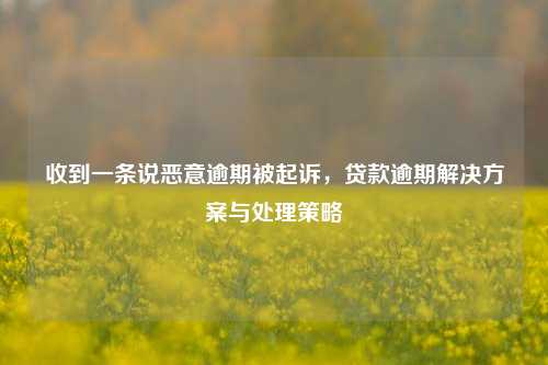 收到一条说恶意逾期被起诉，贷款逾期解决方案与处理策略