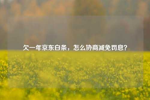 欠一年京东白条，怎么协商减免罚息？