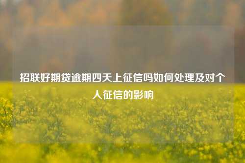 招联好期贷逾期四天上征信吗如何处理及对个人征信的影响