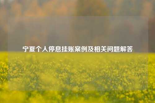 宁夏个人停息挂账案例及相关问题解答