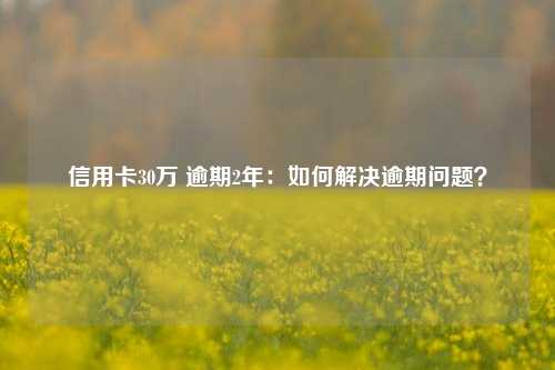 信用卡30万 逾期2年：如何解决逾期问题？