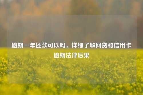 逾期一年还款可以吗，详细了解网贷和信用卡逾期法律后果