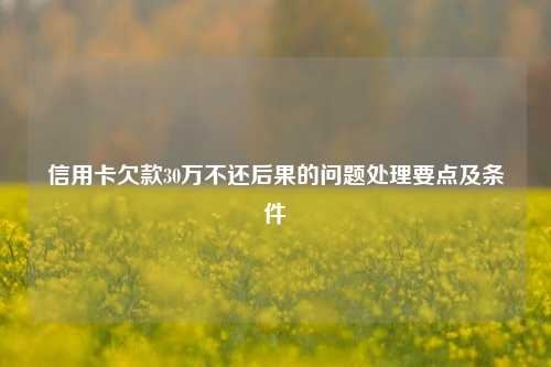 信用卡欠款30万不还后果的问题处理要点及条件